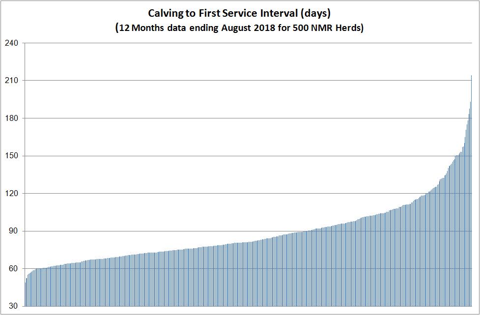 G. Calving to 1st service interval: The average number of days between calving and 1st