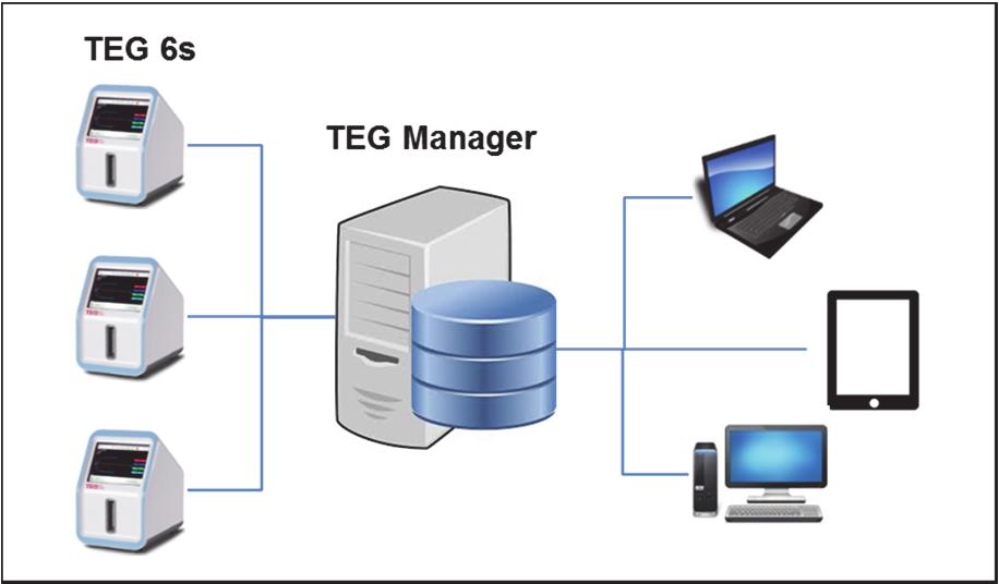6. Networked Solutions TEG MANAGER The TEG 6s analyzer is a connected device, with multiple TEG 6s analyzers able to network via a user interface to TEG Manager.