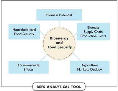 FAO Bioenergy Initiatives Provides guidance to assess potential effects of bioenergy on food security in