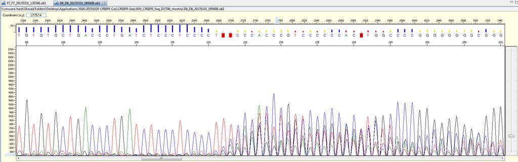 Sanger Sequencing in Genome Editing Workflow Experiment: