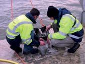 Seabed and subsoil sampling provides the geological samples required for