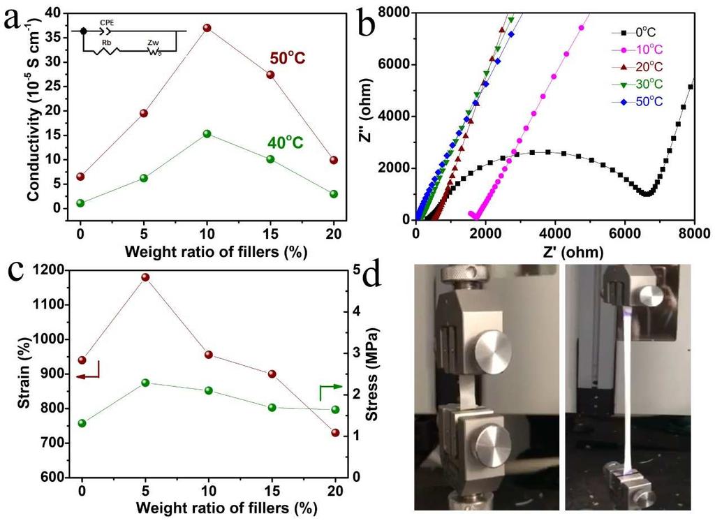 (b) Impedance spectroscopy of PEO-LiTFSI-10 wt% Mg 2 B 2 O 5 film at different temperatures. (c) The mechanical property of different composite SSEs with various Mg 2 B 2 O 5 additives.