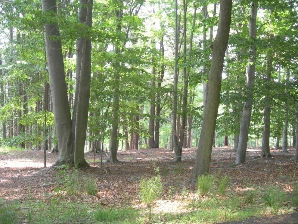 New Jersey s Farmland/woodland Assessment Program 1. At least five acres 2. Actively devoted 3.