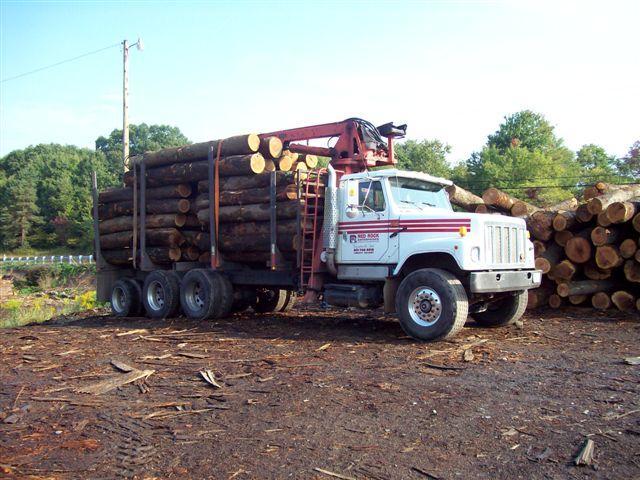About Our Company: Red Rock Enterprises is a family-owned forestry company