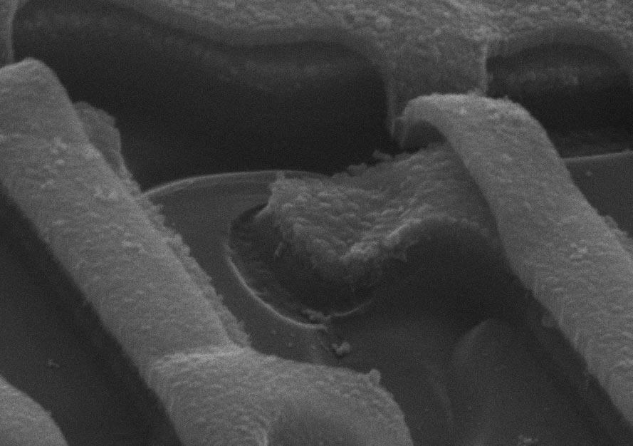 Detailed SEM views of the