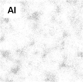Fig. 6: X-ray elemental map of annealed (500 C/100h) compact AlSi14Fe8,