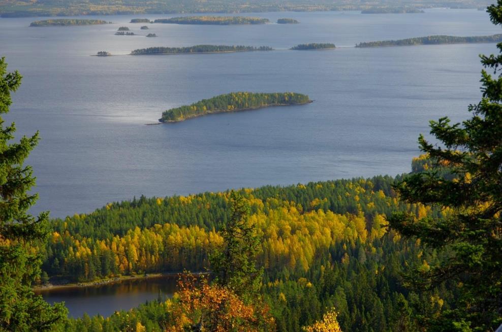 North Karelia Region, unique hub of natural resources expertise Forests Main tree species: pine, spruce and birch Stock volume: 170 million m 3 Annual growth: 9.15 million m 3 Forest use: 4.