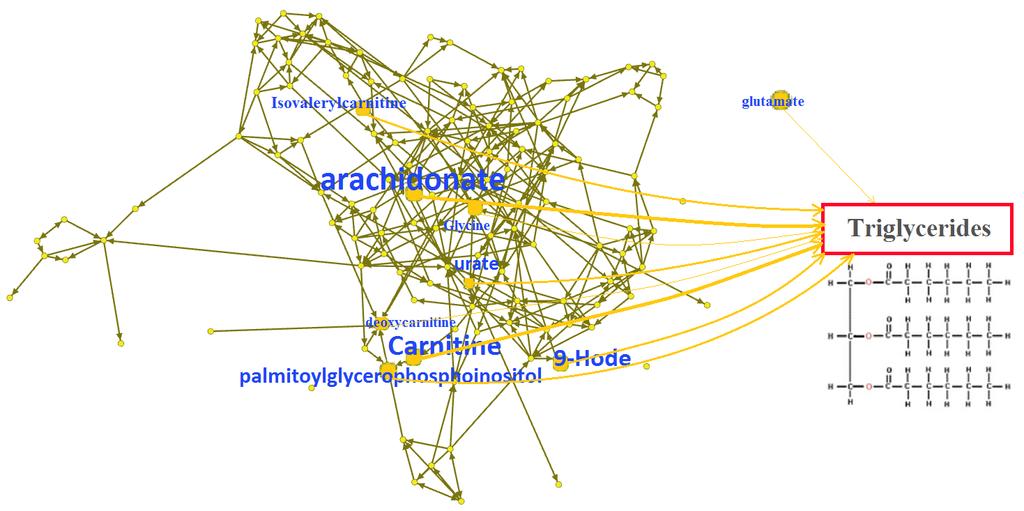 Metabolomic and Triglycerides Network We found only 9