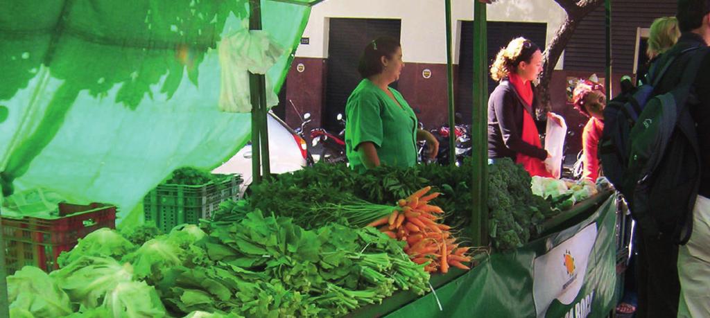 02 Case studies Photo : Cecilia Rocha BELO HORIZONTE s approach to food security BRAZIL Belo Horizonte BELO HORIZONTE IS A PIONEER IN IN- TEGRATED URBAN