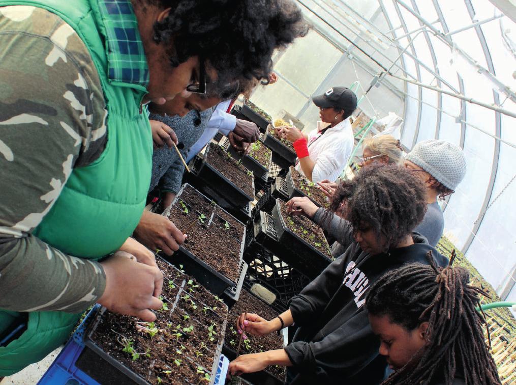 DETROIT Seeding Day (Photo: Earthworks Urban Farm, a project of Capuchin Soup Kitchen) capacity, noticed that urban agriculture was increasingly popular, and that businesses and social entrepreneurs