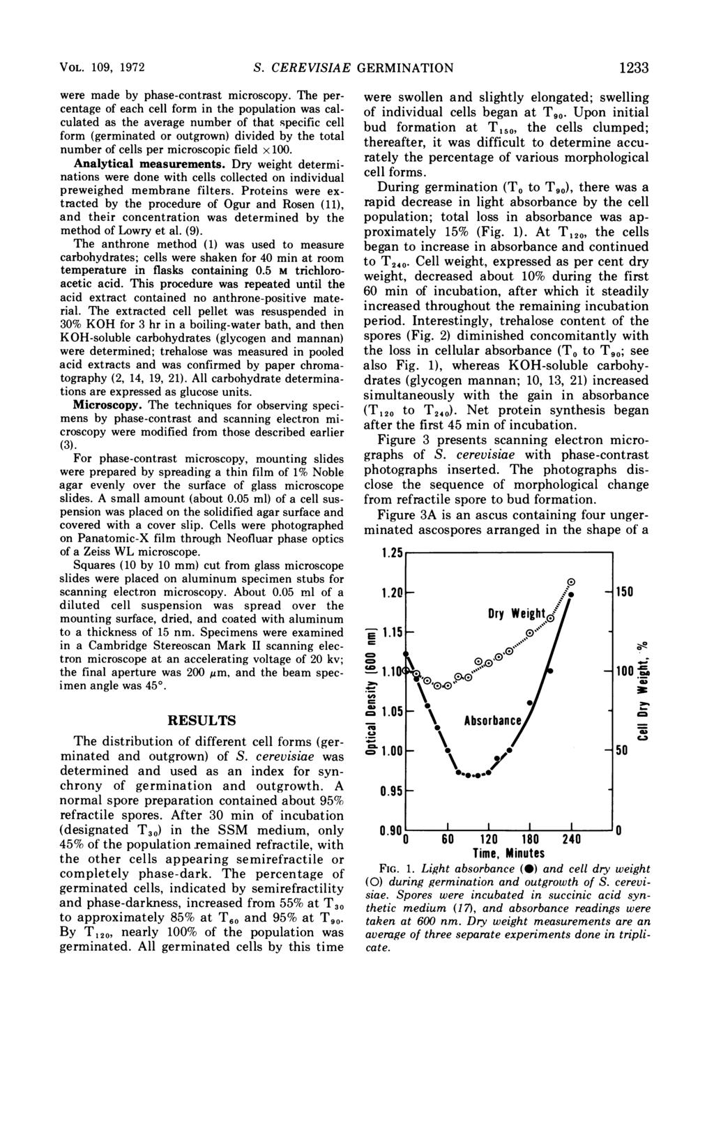 VOL. 109, 1972 S. CEREVISIAE GERMINATION 1233 were made by phase-contrast microscopy.