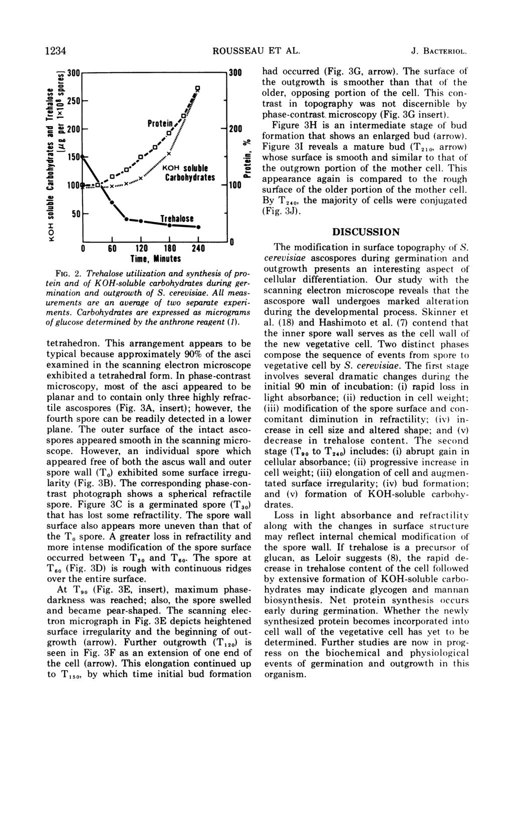 1234 ROUSSEAU ET AL. J. BACTERIOL. Time, Minutes FIG. 2. Trehalose utilization and synthesis of protein and of KOH-soluble carbohydrates during germination and outgrowth of S. cerevisiae.