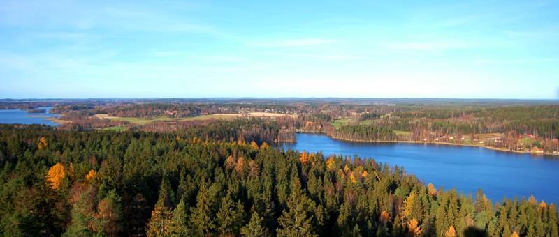 The potential of Finnish forests Finland s well-being is based on our ability to use renewable resources
