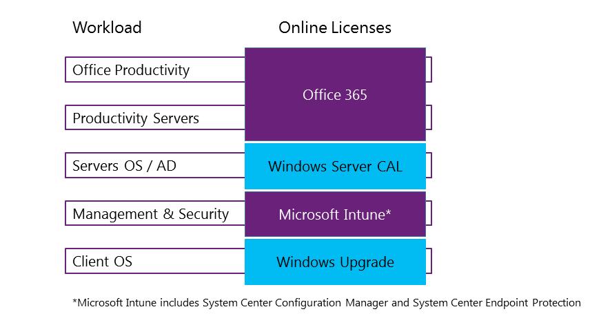 Licensing Microsoft products online As software services, the Office 365 and Microsoft Intune software subscriptions include user rights to both server and desktop applications, which would require