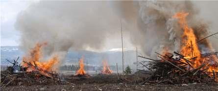 Outline Health Effects of Wood Smoke Wood Smoke in BC The