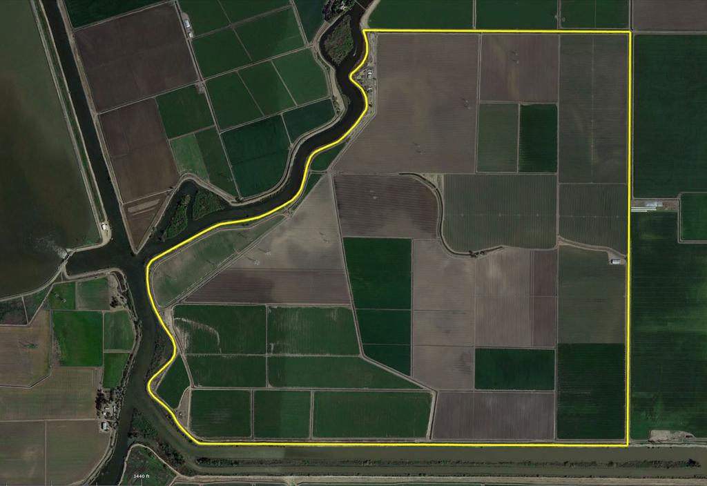 Planting Map Crop Acres Alfalfa 278.5 1 2 3 Garlic 269.1 Tomato 496.1 4 Wheat 176.8 Total 1220.