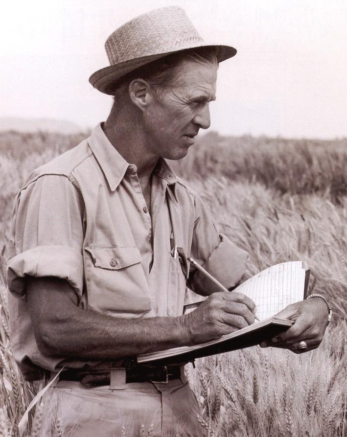 The Green Revolution Dr Norman Borlaug Brilliant US, Mexican and Asian scientists Skilled at observation & diagnosis Knowledgeable about the