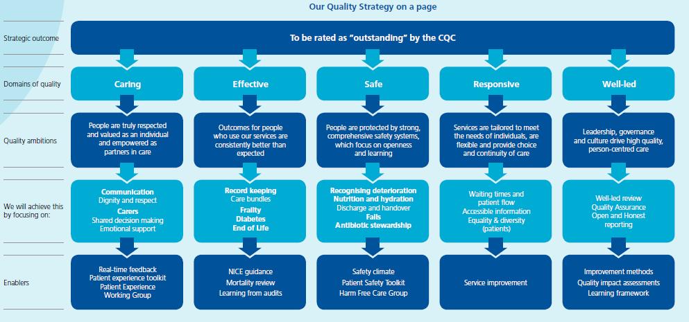 Section 2: Approach to quality planning 2.1 Approach to quality improvement 2.1.1 Named Lead for Quality Our Executive Lead for Quality is unchanged, being the Director of Nursing and Patient Care, Ms Lynn Andrews.