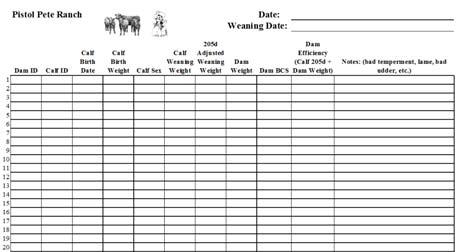 Workshop #11 Cow/Calf Performance Efficiency Selecting your most profitable cows Earl H.