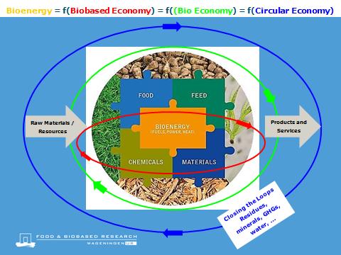 Task42: Biorefining in a Future BioEconomy Vision Biorefining is the optimal strategy for large-scale sustainable use of biomass in the BioEconomy resulting in cost-competitive co-production of