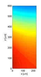 relative humidity due to the diffusion of product water vapour.