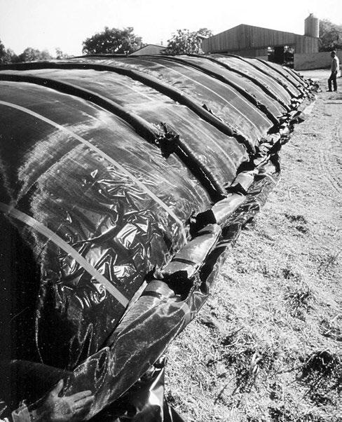 Figure 5. Tarpaulin and sausage bag system for silage protection. New Silo Sealing System No Tires Used In this system, traditional plastic sheeting is covered with a second layer.