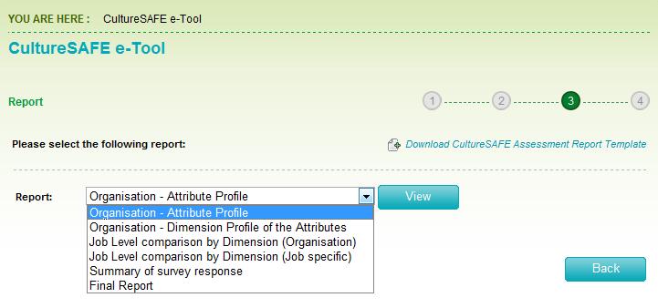 Click on the following charts of the CultureSAFE Index of the organization as shown