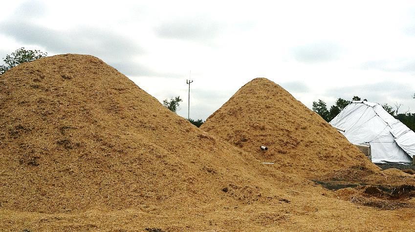 wood chip industry
