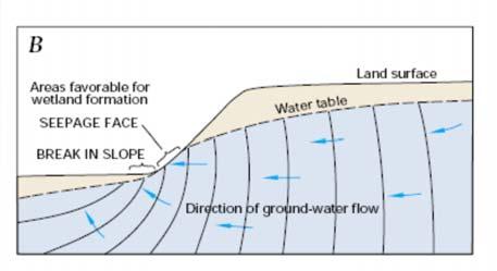 Shoreline-focused erosion and deposition migrates as the shoreline migrates, adding to heterogeneity of the bed sediment.