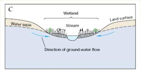 Interaction of Ground Water and Wetlands C. from streams, especially slow moving streams, D.