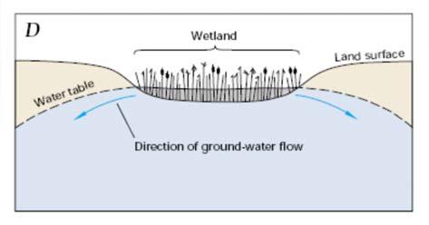 wetland, 9 Wetland fills with overland flow over frozen soils Frozen wetland bed begins to thaw, releasing