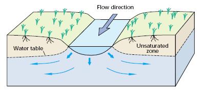15 Interaction of Ground Water and Streams: Losing Streams Losing