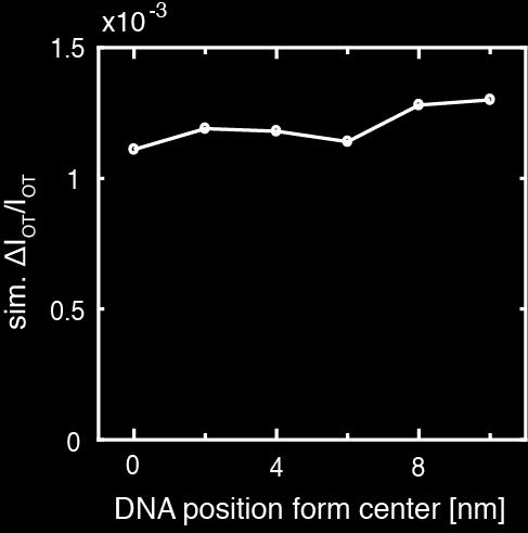 only very modestly, with an amplitude increase only about 30% from the center to the edge. We thus conclude that the exact position of the DNA is of minor influence to the simulation results.
