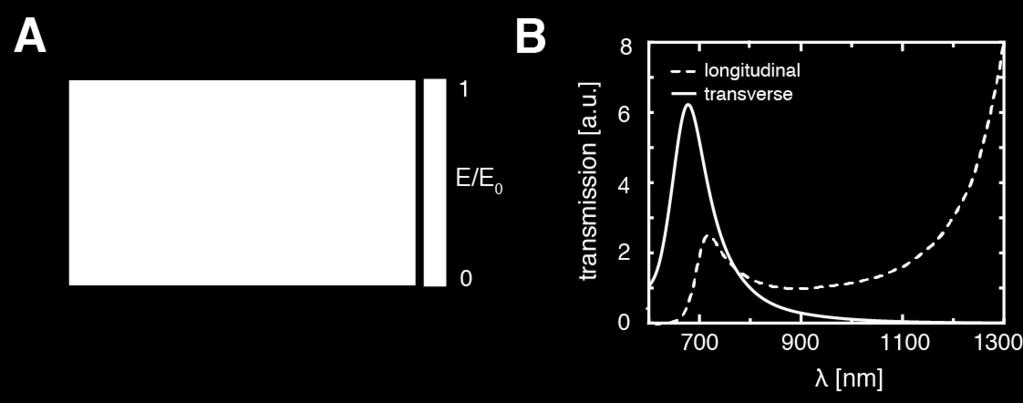 (A) Normalized electric field density distribution under transverse illumination.