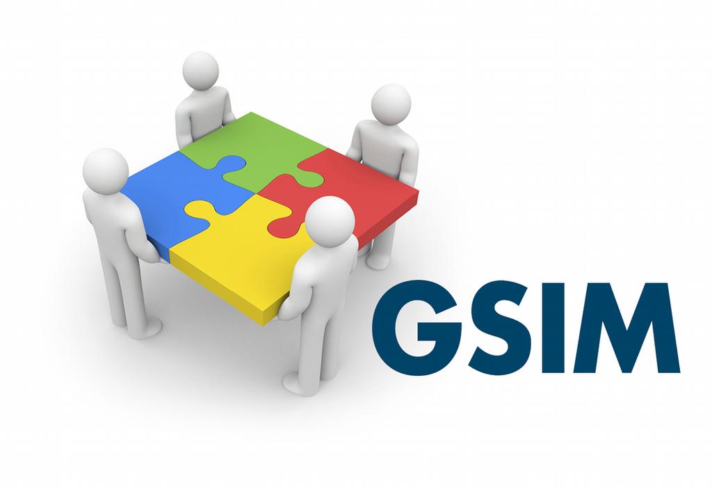 Purposes of GSIM Improve communication Generate economies of scale Enable greater automation Provide a basis for