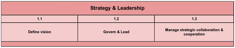 GAMSO: Strategy & Leadership High-level strategic activities that enable statistical organisations to deliver the products and services needed by governments and communities nationally and