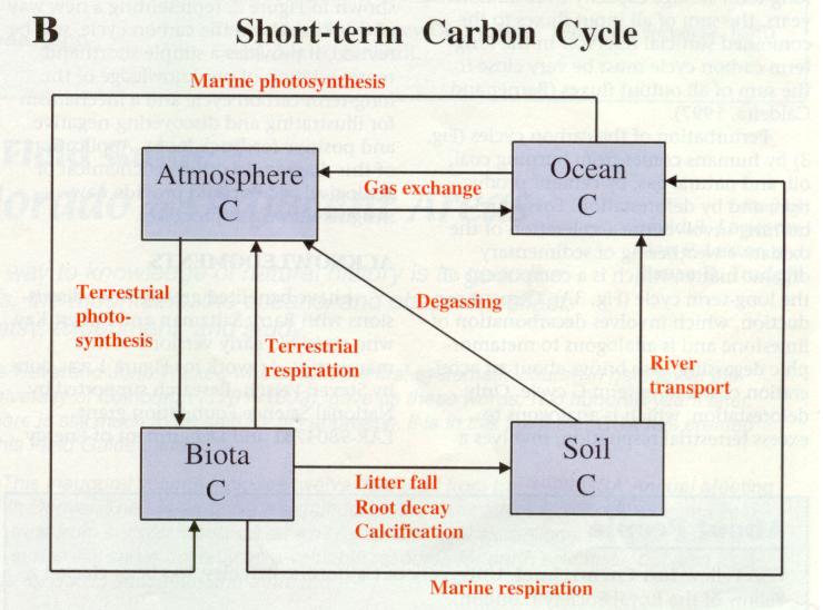 2/12/18 Short-term Carbon Cycle Exchange of carbon in the surficial