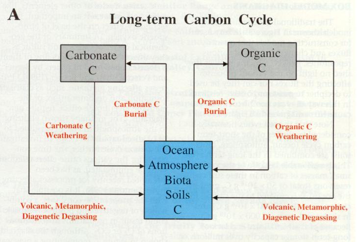 rapid and operates on short time scales Long-term Carbon Cycle Exchange