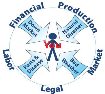 face five types of risk, as defined by USDA: production, market or price, financial, legal or institutional, and human or labor risks.