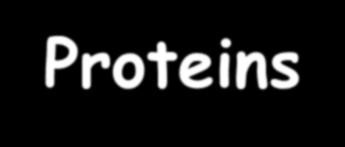 Proteins and