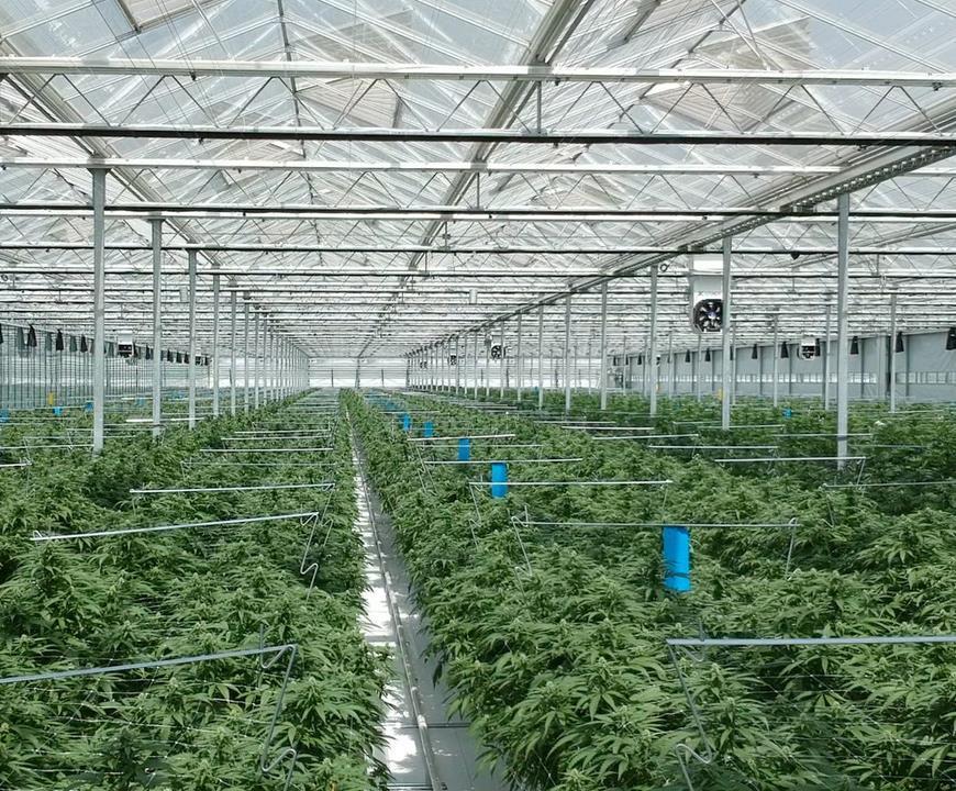Capital Efficient, Rapid Conversion of Existing Produce Operation 11 Fully automated, high-capacity nursery, 16 state-of-the-art flower rooms Meticulous attention to the growing environment and
