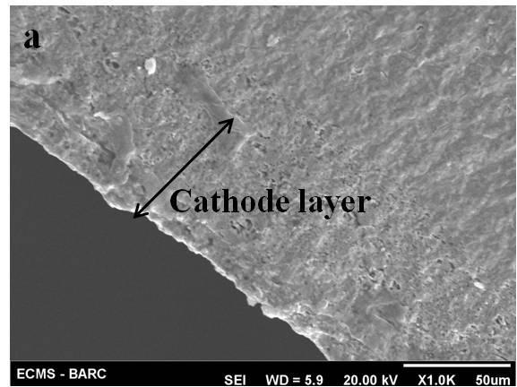 Fig. 7.6 SEM micrographs showing the electrode-electrolyte interfaces of symmetric cell formed using GDC interlayer.