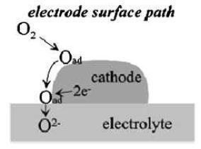 reaction paths at cathode The elementary reactions at the cathode consist of few surface