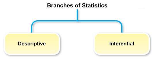 STATISTICS DEFINED Statistics is the science of collecting, organizing, analyzing, and interpreting information.