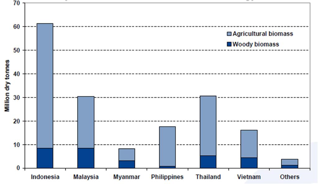 In ASEAN, Indonesia is the largest biomass producer.