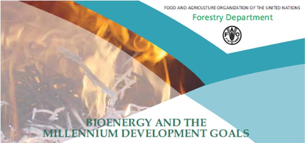 Bioenergy is a keycomponent and a viable opportunity in the struggle towards the achievement of Millenium Development Goals (MDGs).
