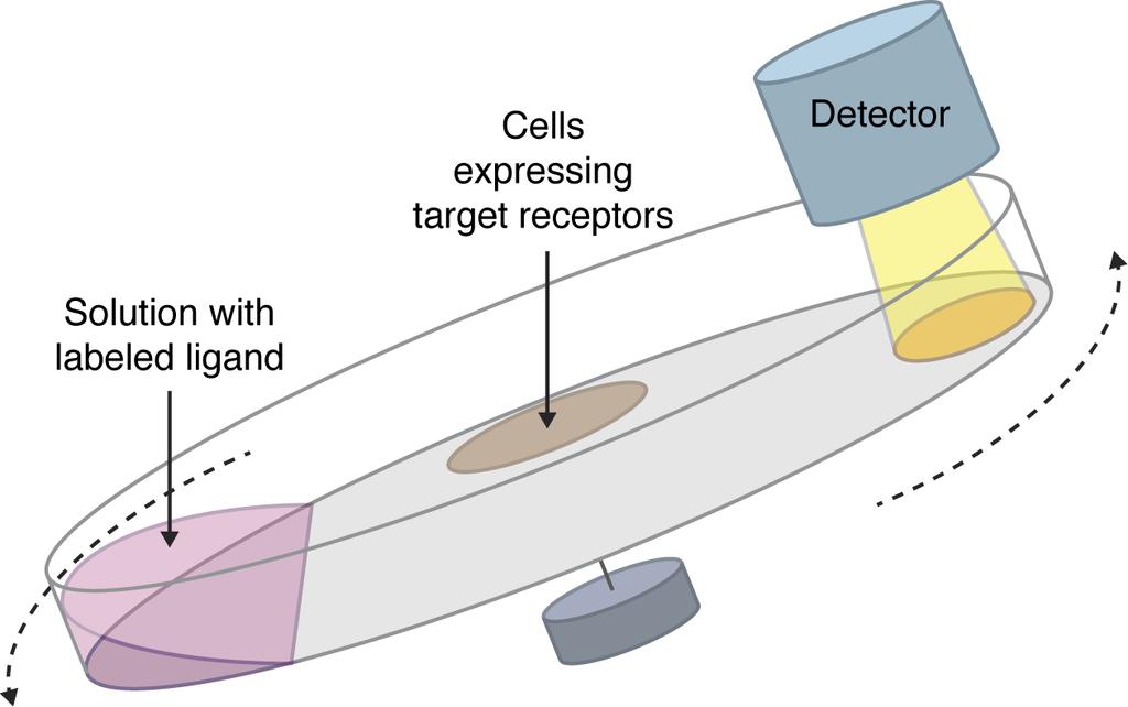 LigandTracer cell based assay Cells in regular Petri dish