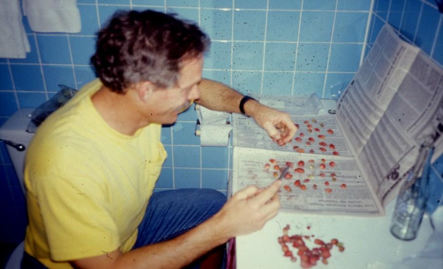 Breeder profile continued Page 9 Jim Hancock in Ecuador (1996) using highly sophisticated scientific techniques for extracting seeds from fruit tions and the opportunity to see how his selections