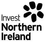 Monitoring Ref: (Invest NI use only) Director Roles (DR/18) APPLICANT NAME: This competition will allow Invest NI to fill the current existing 2 vacancies within the organisation.