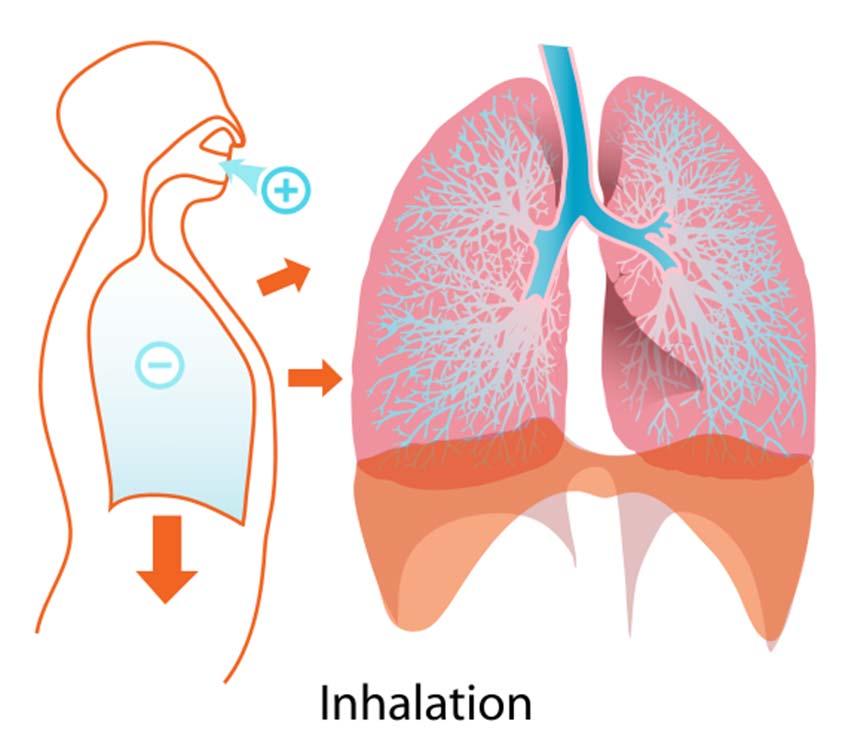 The Pathway Volatilization to Indoor Air Pathway (VIAP) Pathway describing the inhalation of hazardous substance vapors volatilizing from a vapor source